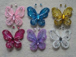 Glittered Butterfly